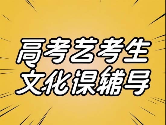 成都卓元2025届艺术生文化课集训班