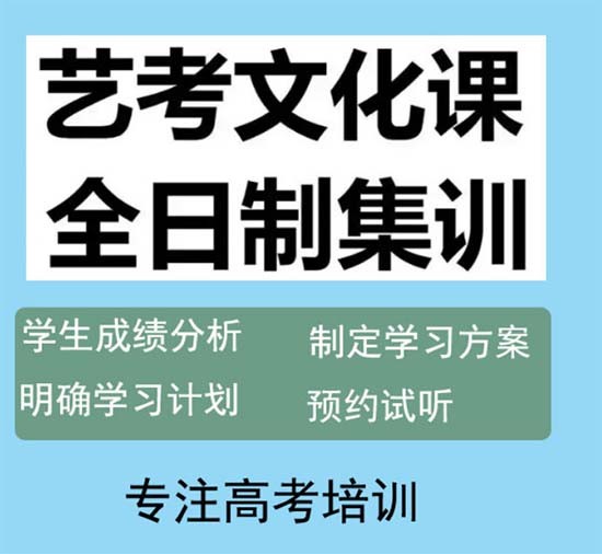 上海思源教育2025届艺考文化班课程